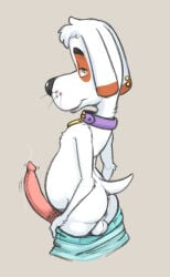 animal_genitalia animal_penis anthro backsack balls bodily_fluids bottomwear butt canid canine canine_genitalia canine_penis canis clothing collar domestic_dog ear_piercing ear_ring emenius genital_fluids genitals half-closed_eyes head_tuft leaking_precum looking_at_viewer male mammal narrowed_eyes penis piercing precum purple_collar ring_piercing shorts solo tuft whiskers