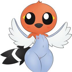 1girls anthro avian belly big_eyes birb bird chibi cute fanart feathers female flat_chest fletchling game_freak girl grey hips navel nintendo nipples nude nude_female orange pokémon_(species) pokemon pokemorph pussy solo_female tagme tail tease thick thick_thighs thighs uncensored wide_hips wings zinzoa