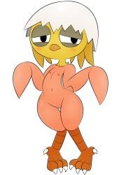 adorable anthro beak belly bird blushing chick chicken egg_shell feathers female furry navel nervous nipples nude oc pussy shirt_up shy simple_background solo thighs yoka zinzoa