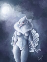 2015 anthro avian beak bird breasts columbid dove feathers featureless_breasts female genitals hi_res neck_tuft no_nipples nude nyxapnea pink_eyes portrait pussy signature solo standing tail_fan talon_hands three-quarter_portrait tuft white_body white_feathers