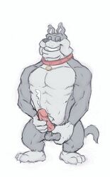 1boy 3_toes 4_fingers canine closed_eyes collar cum cumshot erection male male_only masturbation orgasm penis spike_bulldog tom_and_jerry uncensored yaoi