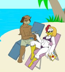 anthro avian bikini bird canine chicken eto_rangers female fur furry furry_only hen male pochiro pochirou skimpy swimming_trunks swimsuit tart