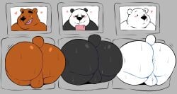 2022 angusart anthro anus ass balls big_butt black_body black_nose blush bodily_fluids brown_bear brown_body cartoon_network cellphone genitals giant_panda grizzly_(wbb) grizzly_bear group hi_res ice_bear male male_only mammal overweight overweight_male panda_(wbb) phone polar_bear smartphone sweat through_wall ursid ursine we_bare_bears white_body