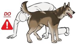 alpha_channel animal_genitalia bestiality butt_sniffing canid canine duo feral genitals human male male/male mammal meme reyes_(sepulte) sepulte sheath simple_background sniffing transparent_background zoophilia