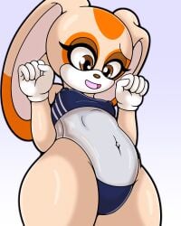 1girls 2022 4k bikini bikini_bottom bikini_top blonde_fur blonde_hair bunny cream_fur cream_hair cream_the_rabbit female female_focus female_only hd hi_res high_resolution highres orange_fur orange_hair orange_spots panties rabbit see-through see-through_clothing see_through shinymagpie sonic_(series) sonic_the_hedgehog_(series) swimsuit swimwear top