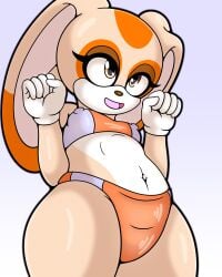 1girls 2022 4k bikini bikini_bottom bikini_top blonde_fur blonde_hair bunny cream_fur cream_hair cream_the_rabbit female female_focus female_only hd hi_res high_resolution highres orange_bikini orange_fur orange_hair orange_spots panties rabbit shinymagpie sonic_(series) sonic_the_hedgehog_(series) top