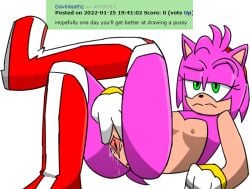 amy_rose anthro disappointed jakee leaking_pussy looking_at_viewer pussy_juice pussy_juice_drip request rule_34_comment solo sonic_(series) spread_pussy wet_pussy