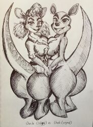 2girls anthro bubble_butt drawn fur furry kangaroo sheila_(spyro) spyro_the_dragon thick_thighs wide_hips