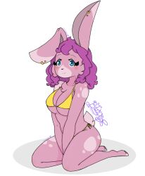 anthro bikini blue_eyes furry kneeling large_breasts pink_fur purple_hair rabbit_girl sakura_(gaminggryff) smiling_at_viewer yellow_bikini