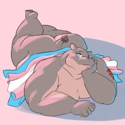 1:1 5_fingers 5_toes anthro arm_tattoo ass bedroom_eyes big_butt common_hippopotamus countershading eyelashes feet female fingers gingerlybreadart grey_body hi_res hippopotamid huge_butt janice_(gingerlybreadart) lgbt_pride looking_at_viewer lying mammal narrowed_eyes obese obese_anthro obese_female on_front overweight overweight_anthro overweight_female pride_colors seductive short_tail shoulder_tattoo solo stretch_marks tail tattoo thick_thighs toes trans_(lore) trans_woman_(lore) transgender_pride_colors