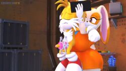 countersfm cream_the_rabbit dominant_female flashlight fleshlight onahole penis_milking_machine rape reverse_rape smaller_male sonic_(series) tagme tails tails_the_fox video
