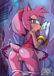 amy_rose avoid_posting censored eulipotyphlan female hedgehog looking_at_viewer mammal panties_down presenting presenting_pussy sega solo sonic_(series) sonic_the_hedgehog_(series) sweat tojyo upskirt