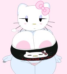 big_areola big_nipples breasts clothing dream-cassette erect_nipples erection_under_clothes female female_only hello_kitty hello_kitty_(character) hello_kitty_(series) hoshime huge_areolae huge_nipples kitty_white mob_face nipple_bulge nipple_slip no_humans pink_nipples sanrio shortstack tagme text_on_clothing thong