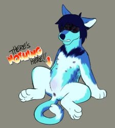 ambiguous_gender anus bared_teeth blue_body blue_fur canid canine canis deltarune dog domestic_cat domestic_dog featureless_crotch felid feline felis feral fur hair hybrid kris_(deltarune) mammal multi_nipple nipples nude nullo puppyratcat simple_background solo spread_legs spreading tail text undertale_(series)
