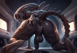 ai_generated alien alien_(franchise) alien_boy anus balls ballsack genital_fluids male male_xenomorph penis presenting_anus presenting_hindquarters solo xenomorph