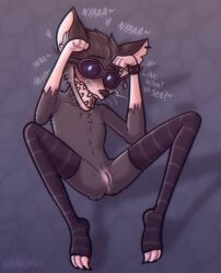 anthro anus ass bat biped blue_eyes blush bracelet claws clothing digital_media_(artwork) ear_piercing ear_tag english_text eyewear female female_anthro fur genitals goggles hair hi_res jewelry leggings legwear looking_at_viewer lootbat_(my_dad_the_bounty_hunter) mammal multicolored_body multicolored_fur nipples nude piercing pink_body pink_skin presenting presenting_pussy pussy smile smiling_at_viewer solarlewds solo teeth text toe_claws whiskers