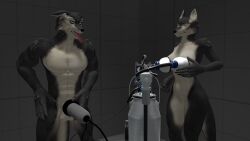 1boy 1boy1girl 1girls duo duo_focus furry looking_at_another male_anthro milking milking_machine mr_sfm orgasm orgasm_face penis_milking penis_milking_machine petruz_(copyright) sfm simple_background wolf_(petruz)