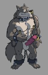 abs anthro balls canid canine canis chains collar dilgearwolfang erection facial_piercing fur genital_piercing genitals hi_res male male_only mammal muscular muscular_male nipple_piercing nipples nose_piercing penis penis_piercing piercing slave solo spiked_collar spikes wolf