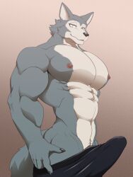 5_fingers anthro beastars bedroom_eyes big_pecs boxers_(clothing) bulge canid canine canis claws clothed clothing croiyan erection erection_pushing_underwear erection_under_clothing fingers fur grey_body grey_fur hi_res legoshi_(beastars) looking_at_viewer male male_only mammal multicolored_body multicolored_fur muscular muscular_male narrowed_eyes nipples pecs pubes seductive solo tenting topless underwear white_body white_fur wolf