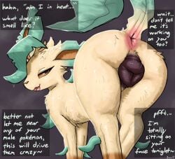 Socks (Marking) Rule 34 Image