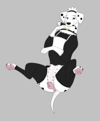 101_dalmatians anatomically_correct anatomically_correct_genitalia anatomically_correct_pussy animal_genitalia animal_pussy anus canid canine canine_pussy canis choker clothed clothed_feral clothing dalmatian digital_media_(artwork) disney domestic_dog female feral genitals hi_res jewelry kaze~inu legwear looking_at_viewer maid_apron maid_headdress maid_uniform mammal necklace nipples pawpads paws perdita pussy simple_background solo spots stockings uniform