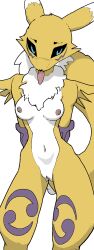 anthro bandai_namco blue_eyes breasts clothing digimon digimon_(species) female fingerless_gloves fur gloves handwear hi_res lavtap nipples renamon solo yellow_body yellow_fur