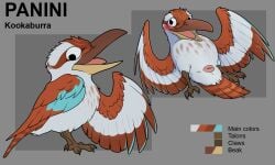 animal_genitalia avian bird blush cloaca coraciiform genitals hi_res kingfisher kookaburra laughing_kookaburra male model_sheet no_humans presenting