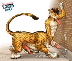 1boy anthro balls bodily_fluids cheetah cheetah_taur cum cumshot ejaculation felid felid_taur feline feline_taur frontal_taur_balls frontal_taur_genitals frontal_taur_penis furry genital_fluids genitals hi_res larru-larru male male_focus male_only mammal mammal_taur masturbation multi_balls multi_genitalia multi_nipple multi_penis muscular muscular_male nipples nude penile_spines penis penis_tongue public_masturbation skips92 solo solo_focus solo_male taur toned toned_male triphallia unusual_anatomy unusual_genitalia_placement unusual_penis_placement