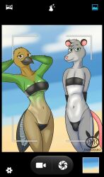 2022 absurd_res anthro avian beach bird black_border border breasts bulge camera_view clothed clothing digital_media_(artwork) duo female fur gris_swimsuit hi_res holy_(marothedarkrabbit) intersex lex_(marothedarkrabbit) looking_at_viewer mammal marothedarkrabbit_(artist) meme meme_clothing nipples one-piece_swimsuit quetzal seaside simple_background smile swimwear thick_thighs tlacuache translucent translucent_clothing translucent_swimwear trogonid under_boob