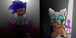 amy_rose blush butt_view_fellatio cuckquean dark_room erect_nipples erection furry_only hiding hiding_in_closet jakee paizuri rouge_the_bat sega sonic_(series) sonic_the_hedgehog titjob