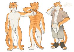 2022 anthro asian_clothing ass balls clothing countershade_face countershade_torso countershading east_asian_clothing felid flaccid foreskin fundoshi fur genitals hair hi_res humanoid_genitalia humanoid_penis japanese_clothing kemono male mammal milkytiger1145 model_sheet orange_body orange_fur pantherine pawpads penis simple_background solo striped_body striped_fur stripes tiger underwear white_background