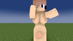 minecraft minecraft_xxx tagme