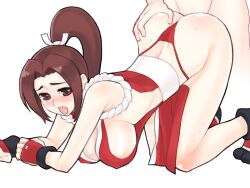 mai shiranui from fatal fury by bitter sweet