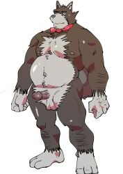 2019 absurd_res anthro balls belly black_nose canid canine canis collar domestic_dog erection genitals hi_res humanoid_genitalia humanoid_hands humanoid_penis kemono male mammal moobs navel nipples overweight overweight_male penis solo ujishiyo