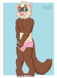 anthro balls_outline biped blue_background blue_eyes blush border boxer_briefs brown_body brown_fur bulge chest_tuft claws clothed clothing covering covering_self cute_fangs detailed_bulge domestic_ferret fur gaokun genital_outline hi_res inner_ear_fluff legs_together male male_only mammal multicolored_body multicolored_fur mustela mustelid musteline nervous partially_clothed pawpads pink_clothing pink_inner_ear pink_nose pink_pawpads pink_underwear simple_background solo toe_claws true_musteline tuft two_tone_body two_tone_fur underwear whiskers white_body white_border white_ears white_fur