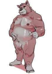 2021 anthro belly canid canine canis domestic_dog flaccid genitals hi_res humanoid_genitalia humanoid_hands humanoid_penis kemono male mammal moobs nipples overweight overweight_male penis simple_background solo tongue tongue_out ujishiyo white_background