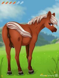 1girls epona_(tloz) equid equine equine_pussy female hi_res horse mammal negasun nintendo no_humans solo solo_female the_legend_of_zelda video_games