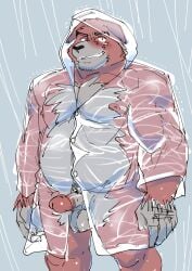 2020 anthro balls belly black_nose blush canid canine canis clothing coat domestic_dog erection genitals hi_res humanoid_genitalia humanoid_hands humanoid_penis kemono male mammal moobs nipples overweight overweight_male penis raincoat raining solo topwear translucent translucent_clothing ujishiyo