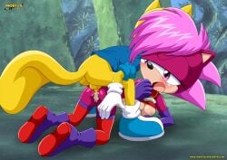 bbmbbf furry male mobius_unleashed palcomix ray_the_flying_squirrel sega sonia_the_hedgehog sonic_(series) sonic_underground