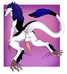 2022 anthro anus ass balls claws erection feet fur genitals hi_res looking_at_viewer looking_back male mammal nude pawpads paws penis presenting presenting_hindquarters presenting_penis raised_tail re-re sergal solo spread_legs spreading