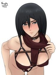 1girls asian asian_female attack_on_titan black_eyes black_hair blush breasts collar female female_only grey_eyes light-skinned_female looking_at_viewer medium_hair mikasa_ackerman naughty_taboos pale-skinned_female petite presenting_breasts seductive_eyes seductive_look seductive_smile shingeki_no_kyojin short_hair solo teasing underwear