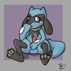 animal_genitalia animal_penis anthro balls blush bodily_fluids canid canine canine_penis canis cum cum_drip cum_on_penis dripping embarrassed foxvomitarts fur furry furry_only genital_fluids genitals hi_res male male_only nintendo paws penis pokémon_(species) pokemon precum riolu sitting solo tail video_games