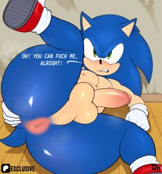 sonic the hedgehog from sega by derickk76