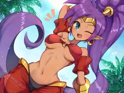 shantae (character) from shantae