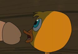 1boy 1boy1girl 1girls animated anthro blowjob duck fit fluids funny head_tilt large_penis lowres mouth_open scared sloppy sound spanky15 stretching suspension video what yellow_body yellow_feathers