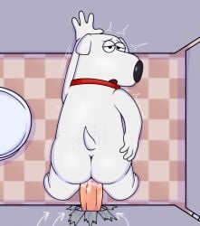 brian griffin from family guy by joalmidon