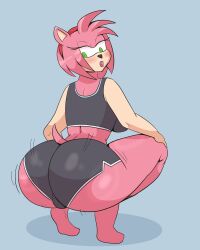 amy rose from sonic the hedgehog (series) by axheyla