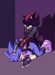 shadow the hedgehog from sega
