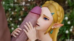 princess zelda from breath of the wild by reikosfm