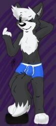 2015 anthro balls_outline beckoning biped black_body black_ears black_fur black_nose blue_clothing blue_underwear boxer_briefs bulge canid canine chest_tuft clothing detailed_bulge digitigrade dipstick_tail eyebrow_through_hair eyebrows fur gaokun genital_outline gesture grey_inner_ear hair hand_behind_head male mammal markings multicolored_body multicolored_fur one_eye_closed simple_background solo tail_markings translucent translucent_hair tuft two_tone_body two_tone_fur underwear watermark white_body white_fur white_hair wink